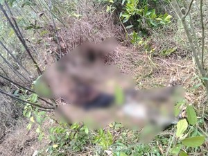 Hilang Sepekan, Remaja di Muara Enim Ditemukan Tewas Membusuk