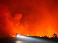 Seorang pengendara melintasi jalan saat kebakaran hutan dan lahan berkobar di dekat jalan utama di Ogan Ilir, Provinsi Sumatra Selatan, Indonesia, 11 September 2026. (REUTERS/Abriansyah Liberto)