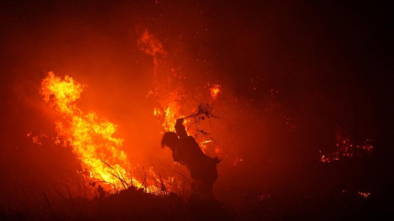 Seorang petugas pemadam kebakaran menggunakan ranting pohon untuk mencoba memadamkan kobaran api di tengah kebakaran hutan dan lahan di Palembang, Provinsi Sumatra Selatan, Indonesia, 8 September 2026. (REUTERS/Abriansyah Liberto)