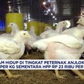 September 2026, Inflasi DKI Jakarta Melambat ke Level 0,13% (MtM)