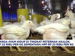 September 2026, Inflasi DKI Jakarta Melambat ke Level 0,13% (MtM)