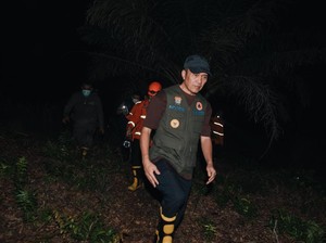 Walkot Palembang Turunkan Tim Padamkan Karhutla di Wilayah Perbatasan