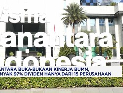 Danantara Soal Kinerja BUMN: 97% Dividen Hanya Dari 15 Perusahaan