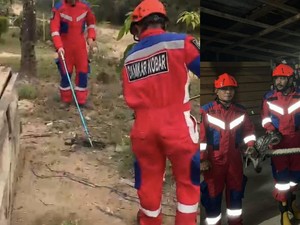 Diduga Cari Pasangan, Ular Sanca-Kobra Nyelonong ke Rumah Warga Kobar