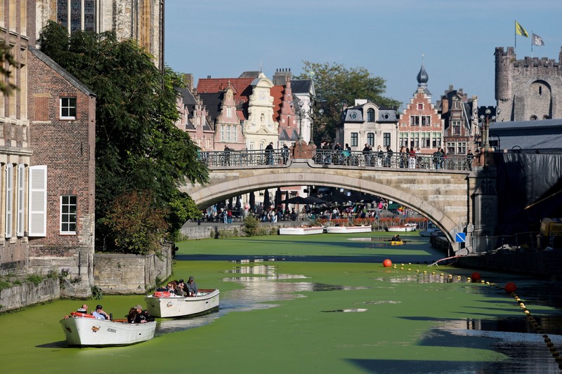 Sebuah kapal wisata melintasi bagian Sungai Lys di Ghent, Belgia, yang tertutup tanaman air duckweed pada 5 Oktober 2026. (REUTERS/Stephanie Lecocq)