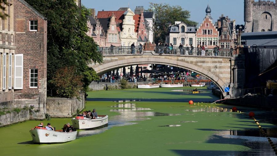 Kapal wisata melintasi bagian Sungai Lys di Ghent, Belgia, yang tertutup tanaman air duckweed pada 5 Oktober 2026. Cuaca panas dan kering yang berkepanjangan memicu lonjakan pertumbuhan duckweed di sungai tersebut, menyusul salah satu musim panas terkering yang pernah tercatat di Eropa.