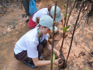 Kementrans Gandeng Undip-TUM Kembangkan Ekowisata Pesisir Batam