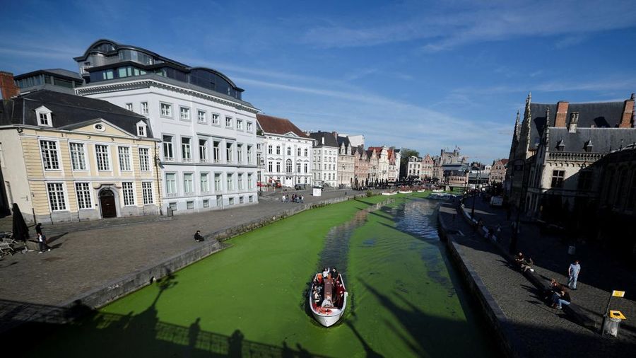Sebuah kapal wisata melintasi bagian Sungai Lys di Ghent, Belgia, yang tertutup tanaman air duckweed pada 5 Oktober 2026. Sebuah kapal wisata melintasi bagian Sungai Lys di Ghent, Belgia, yang tertutup tanaman air duckweed pada 5 Oktober 2026. (REUTERS/Stephanie Lecocq)