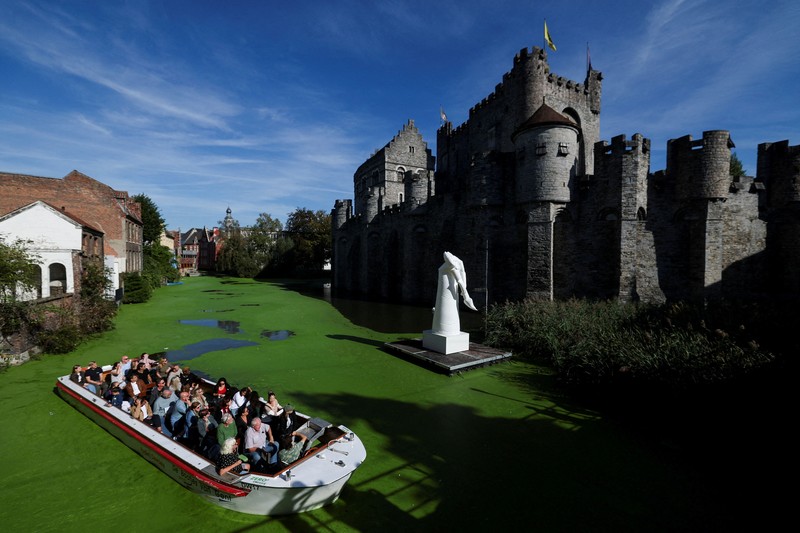 Sebuah kapal wisata melintasi bagian Sungai Lys di Ghent, Belgia, yang tertutup tanaman air duckweed pada 5 Oktober 2026. (REUTERS/Stephanie Lecocq)