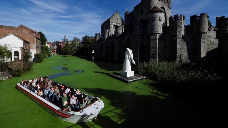 Sebuah kapal wisata melintasi bagian Sungai Lys yang tertutup tanaman air duckweed di depan Kastil Gravensteen di Ghent, Belgia, pada 5 Oktober 2026.