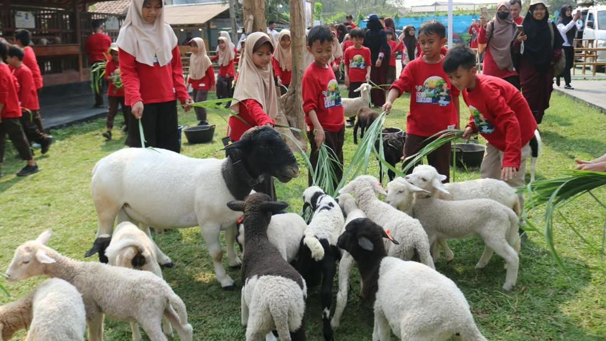 Ilustrasi berita Nasional: Riangnya Murid SD Edutrip ke Lapas Karawang: Lihat Ayam Bertelur-Beri Makan Domba