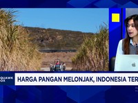 Harga Gandum - Gula Dunia Melonjak, Indonesia Wajib Waspada Efek Ini!