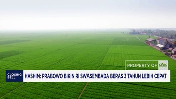 Hashim: Prabowo Bikin RI Swasembada Beras 3 Tahun Lebih Cepat