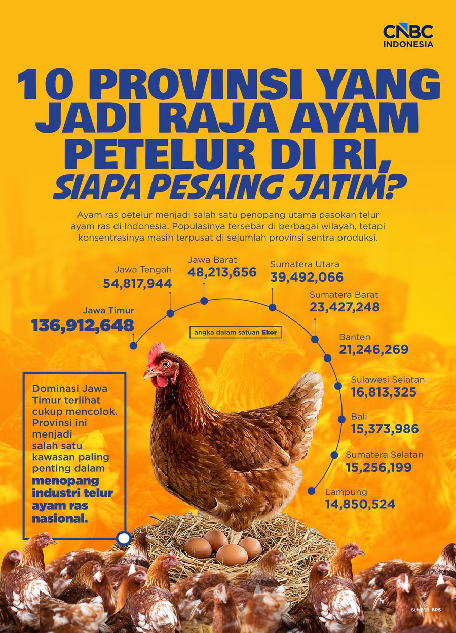 Infografis/10 Provinsi yang Jadi Raja Ayam Petelur di RI, Siapa Pesaing Jatim?/Aristya Rahadian 10 Provinsi yang Jadi Raja Ayam Petelur di RI,Siapa Pesaing Jatim?