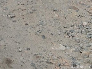 Lapor Pak Bupati! 5 Tahun Jalan Jati Rejo Desa Sampali Rusak-Minim Penerangan