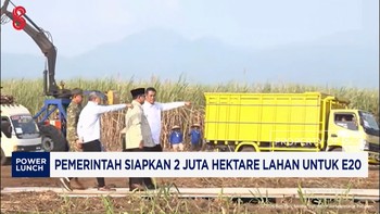 Pemerintah Siapkan 2 Juta Hektare Lahan Untuk E20
