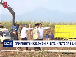 Pemerintah Siapkan 2 Juta Hektare Lahan Untuk E20