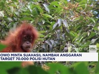 Prabowo Minta Suahasil Nambah Anggaran Demi Target 70.000 Polisi Hutan