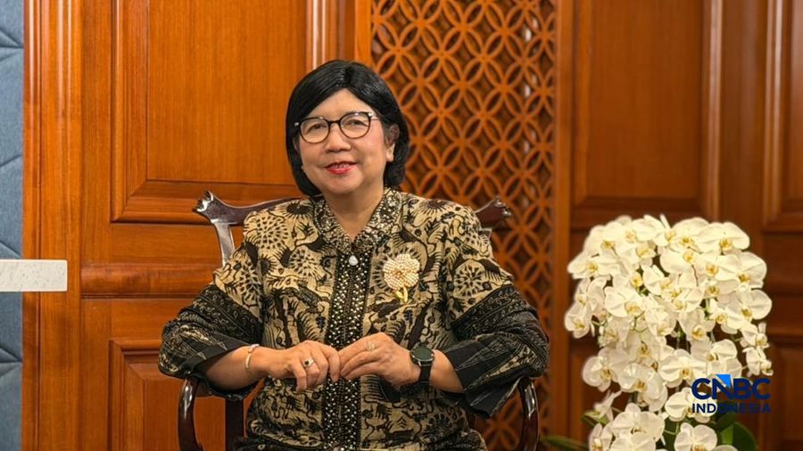 Profil Gubernur Bank Indonesia (BI) Destry Damayanti. (CNBC Indonesia/Maikel Jefriando)