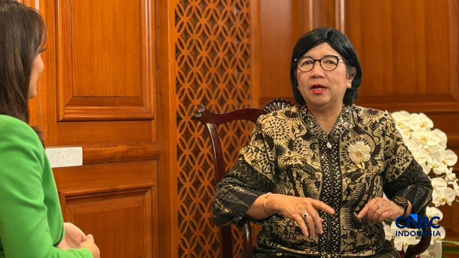 Profil Gubernur Bank Indonesia (BI), Destry Damayanti. (CNBC Indonesia/Maikel Jefriando)
