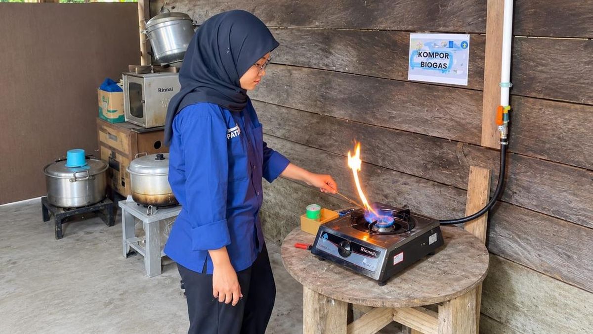 Tim Ekspedisi Patriot Sulap Kotoran Sapi Jadi Biogas di Manokwari Selatan — NadiKabar.com