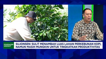 Genjot Ekspor Kopi RI, Petani Kopi Daerah Sudah Sejahtera?