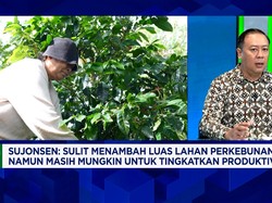 Genjot Ekspor Kopi RI, Petani Kopi Daerah Sudah Sejahtera?