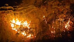 Api Karhutla Membara di Kampar Malam Ini, Pasokan Air Jadi Kendala Pemadaman