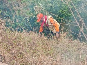 Hutan di Pandesari Pujon Malang Terbakar