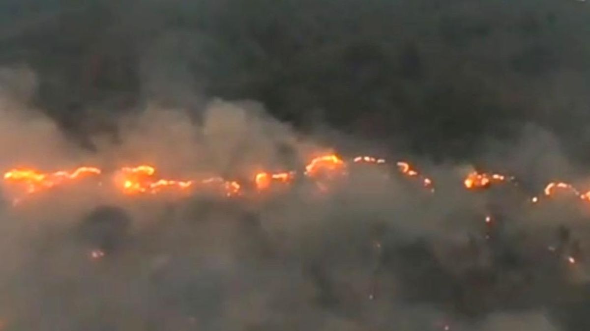 #PrayforKalimantan Menggema, Karhutla Makin Parah Ancam Permukiman Warga — NadiKabar.com