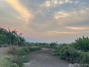 Video: Sungai di Pati Diduga Tercemar Limbah, Warga Keluhkan Bau dan Lalat