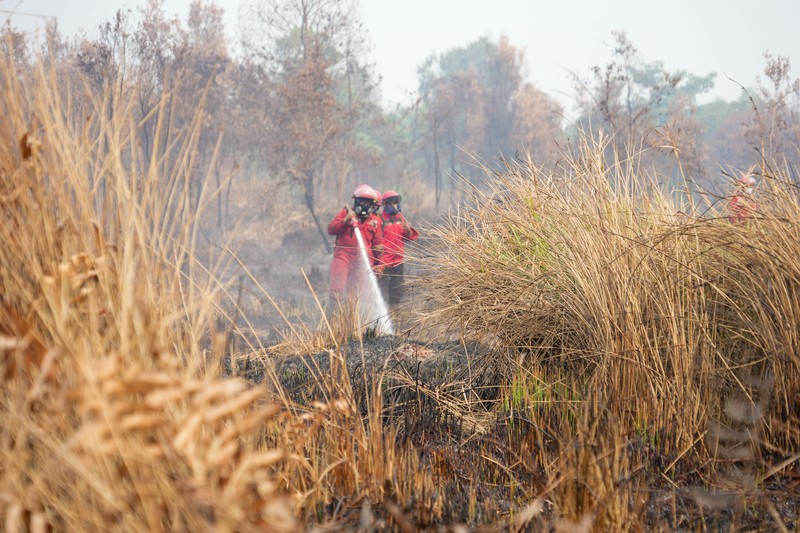 Di tengah upaya penanganan intensif pemadaman kebakaran hutan dan lahan (karhutla) di Sumatera Selatan, kabut asap masih dirasakan warga. Situasi ini menyelimuti Kota Palembang pada Kamis sore (8/10). (Dok BNPB)