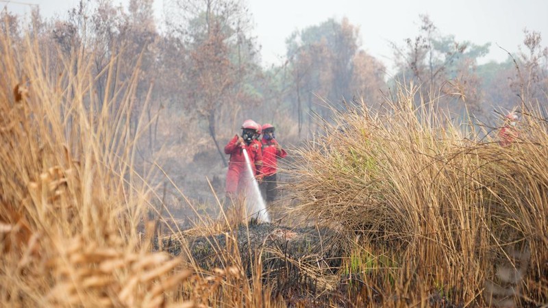 Pengendalian Kebakaran Lahan. (Dok BNPB)