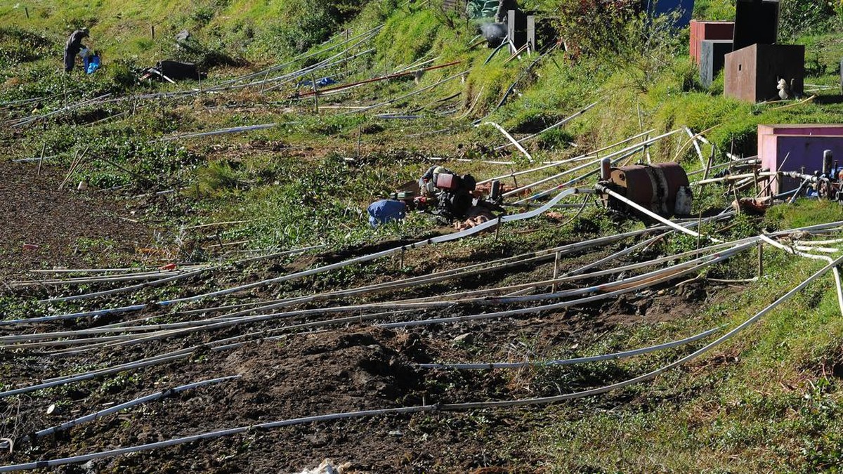 Penampakan Ratusan Pipa Mengular Rebutan Sedot Sisa-Sisa Air Danau