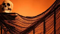 Mau Dekor Halloween Tanpa Ribet? 6 Cara Bikin Rumah Keliatan Seram Pakai Cara Ini 