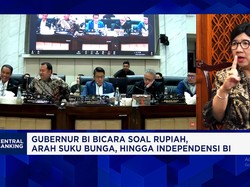 Destry Pastikan Peran BI Mendorong Ekonomi & Penciptaan Lapangan Kerja