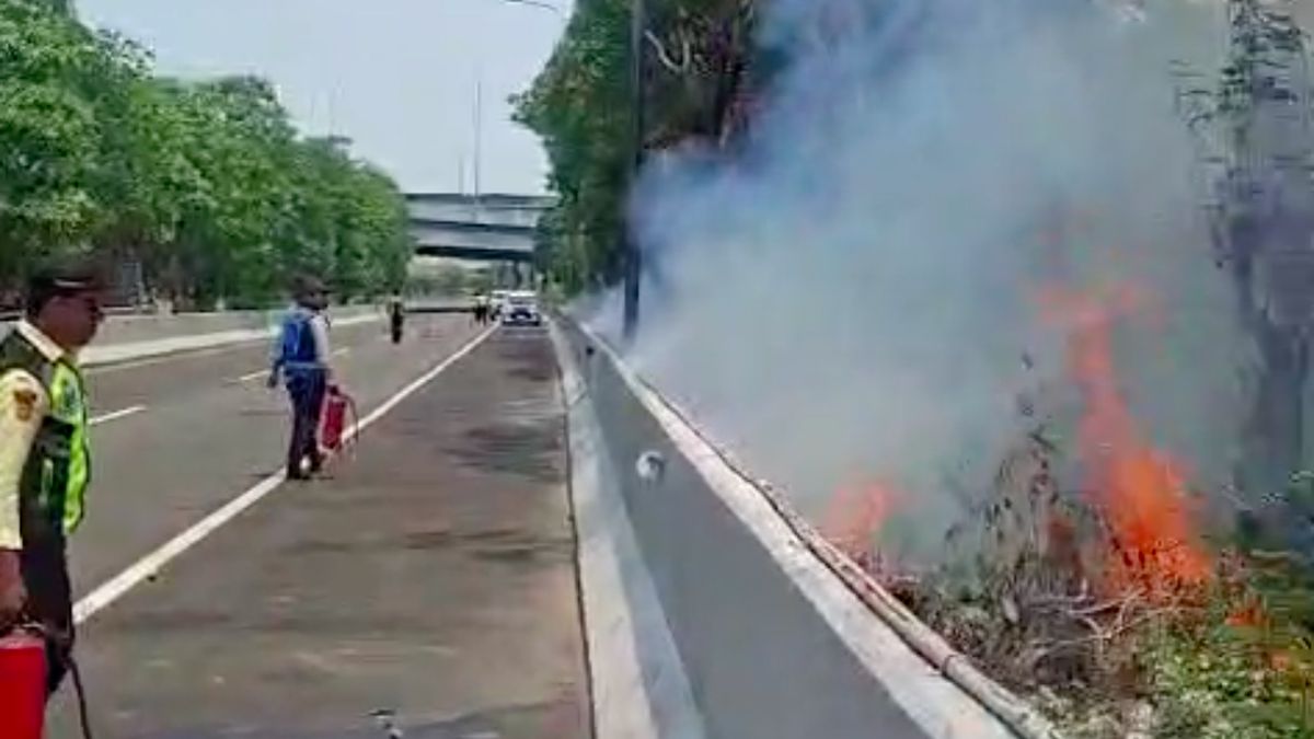 Kebakaran Ilalang di Tepi Tol Arah Bandara Soetta, Pengemudi Diminta Waspada — NadiKabar.com