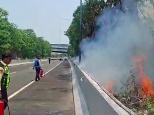 Kebakaran Ilalang di Tepi Tol Arah Bandara Soetta, Pengemudi Diminta Waspada