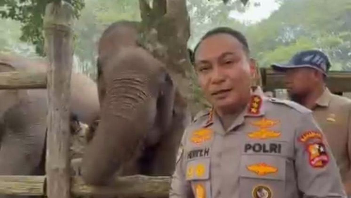 Pamit dari Riau, Komjen Herry Heryawan Titip Pesan Lestarikan Gajah dan Alam — NadiKabar.com