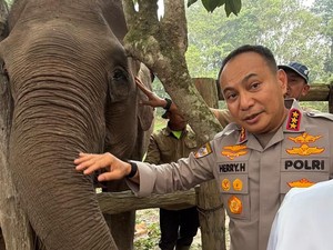 Pamit dari Riau, Komjen Herry Heryawan Titip Pesan Lestarikan Gajah dan Alam