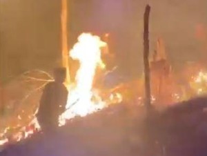 Video Karhutla Seluas 5 Ha di Polman, Diduga Gara-gara Pembukaan Lahan