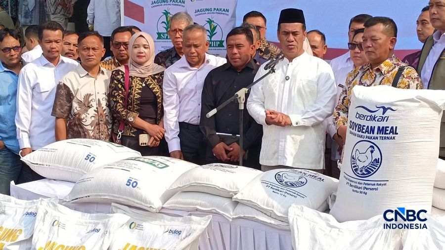Menteri Pertanian sekaligus Kepala Bapanas Amran Sulaiman saat konferensi pers usai menerima para peternak ayam petelur di kediaman pribadinya, Jakarta, Jumat (9/10/2026). (CNBC Indonesia/Martyasari Rizky)