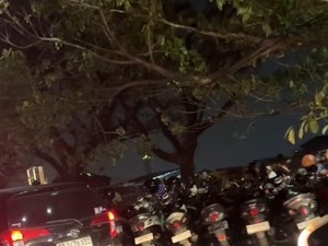 Trotoar-Median Jalan Depan Mal Pipo Makassar Jadi Lokasi Parkir