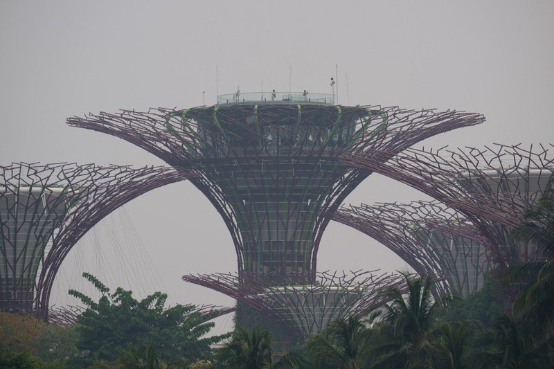 Polusi udara di Singapura telah memburuk hingga menjadi yang tertinggi di dunia. Kondisi krisis ini terjadi setelah kabut asap dari rentetan kebakaran hutan dan lahan (karhutra) terjadi di Sumatera, Indonesia, Jumat (9/10/2026). (AFP/ANTHONY WALLACE)