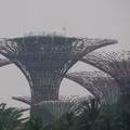 Polusi udara di Singapura telah memburuk hingga menjadi yang tertinggi di dunia. Kondisi krisis ini terjadi setelah kabut asap dari rentetan kebakaran hutan dan lahan (karhutra) terjadi di Sumatera, Indonesia, Jumat (9/10/2026). (AFP/ANTHONY WALLACE)