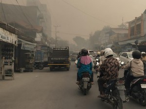 PM2.5 Tembus 592,6 di Kobar, Kesehatan Dipertaruhkan Demi Bisa Makan