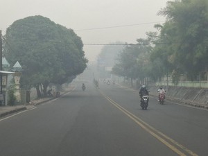 Kualitas Udara Jambi di Level Berbahaya, Pemprov Buka Posko Kesehatan