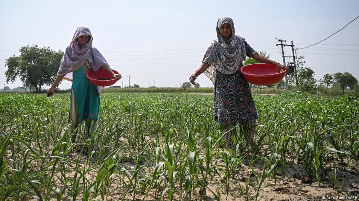 Monsun Terkering dalam 11 Tahun Hantam India — NadiKabar.com