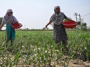 Monsun Terkering dalam 11 Tahun Hantam India