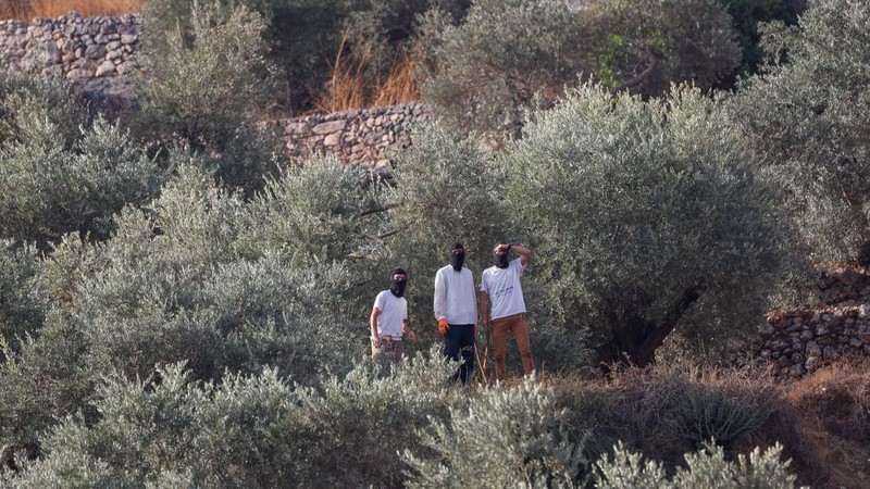 Para pemukim Israel berdiri di kebun zaitun milik warga Palestina di desa Deir Abu Mishal, sementara warga Palestina—yang sedang memetik zaitun pada musim panen—mengevakuasi diri di tengah bentrokan dekat Ramallah, di Tepi Barat yang diduduki Israel, pada 10 Oktober 2026.